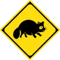 Watch for large animals (raccoon dogs)