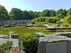 View of the pond and yatsuhashi bridges