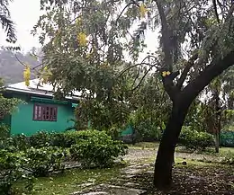 House viewed from the garden