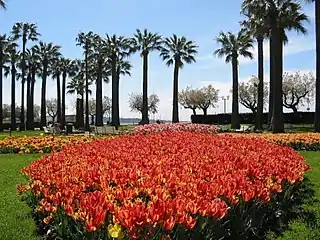 The Croisette gardens