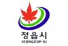 Official logo of Jeongeup