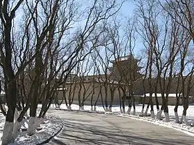 Weeping willow in Jiayu Pass