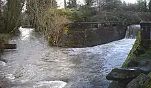 Two stream channels join below land covered with trees and shrubs and protected by a stone wall. The wall, about six feet (two meters) high, extends across the right-hand stream channel, which plunges over the wall. Downstream, the combined channels are about 30 feet (9.1 meters) wide and turbulent.