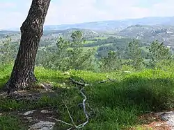 Idyllic scene in the Judean mountains, overlooking the village of Khirbet ed-Deir which sits along the Green Line