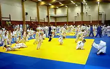 Image 30International judo camp in Artjärvi, Orimattila, Finland (from Judo)