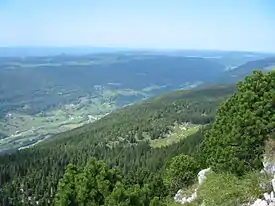 Landscape of tree-clad valley stretching toward mountainous horizon