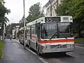 Buses in front of the City Hall