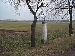 A cross and fields in Vstiš