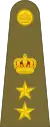 Colonel