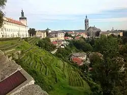 Vineyard of Kutná Hora