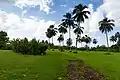 Kahuna Garden, National botanical garden, Maui, Hawaii