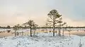 Kakerdaja bog in winter