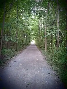 Trail through woods.