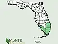 County distribution in Florida