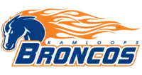 Team logo