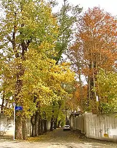 Kamranieh in Fall