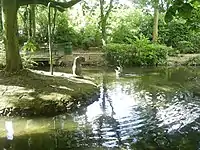 Kangaroo and Platypus Bronze statues on an island in The Water Gardens, Hemel Hempstead, UK