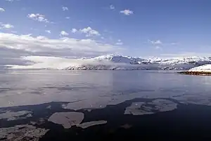 Fjord icefloes, view from Kangilinnguit