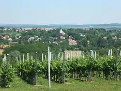 View of the village from the vineyard hill