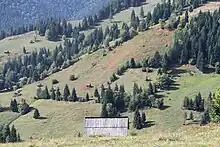 Slătioara secular forest, UNESCO World Heritage Site