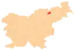 Location of Ruše Municipality