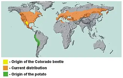 Native range of the potato and native and current range of the Colorado beetle