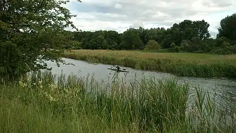 At Aarhus River and Brabrandstien.