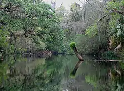 On the Hillsborough River