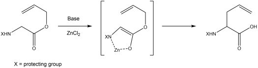 The Kazmaier-Claisen rearrangement