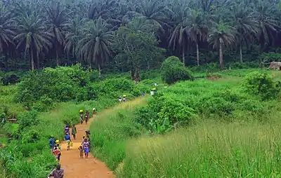 Image 22The road from Kenema to Kailahun District (from Sierra Leone)