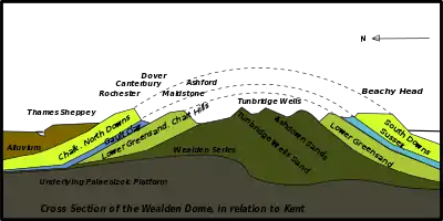 Image 12Geological section from north to south (from Geology of East Sussex)