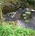 The weir on the Stevenston Burn in the Kerelaw Glen