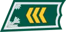 Kersantti(Finnish Army)