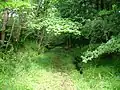 The old railway cutting running from Brackenhills into the Kersland Glen.