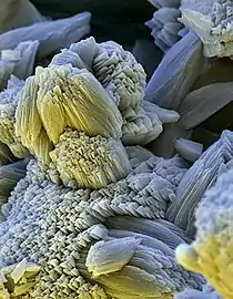 A scanning electron  micrograph of limescale (The field of view is 64 × 90 μm).