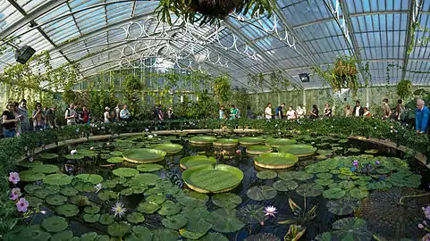 Waterlily House at Kew Gardens at Royal Botanic Gardens, Kew, by Diliff