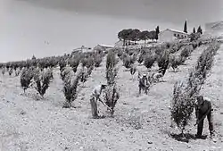 Kfar Etzion, 1947