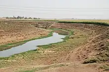 Thin stream of water surrounded by greenery and banks, above which is desert