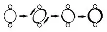 Illustration of kinetoplast rotating during minicircle replication.