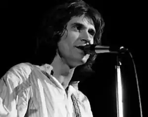 Ray Davies performing