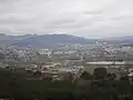 Wooded hills of Kislovodsk (= 'Sour-water-town'), viewed from summit of Mount Koltso (re. P. orientalis).