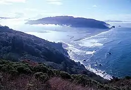 Image 48This estuary of the Klamath River is a transition zone between a freshwater river environment and a saltwater marine environment. Due to land runoff, river mouths and estuary waters can be turbid and nutrient rich, sometimes to the point of eutrophication. (from Coastal fish)