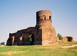 Ruins of the castle at Koło