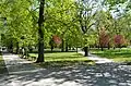 Mestský park (City Park), between Staničné námestie and Mlynská Street