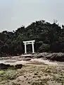 Tori on the beach in the east of Kohama-jima