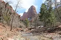 Image 50Kolob Canyons at Zion National Park (from Utah)