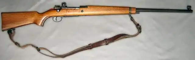 A Norwegian Mauser M59.