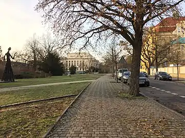 Ellipse rings with round stones on Kopernika Square