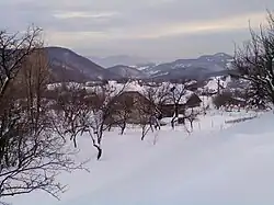 Kordíky in winter