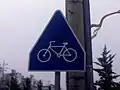 Bicycle Crossing